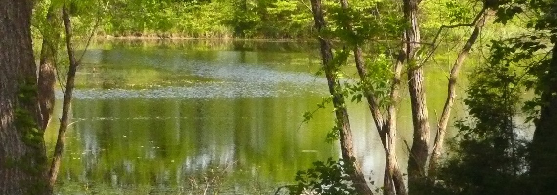 Vipassana Meditation