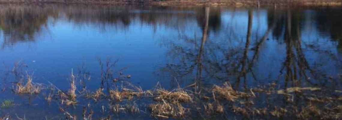 Vipassana Meditation